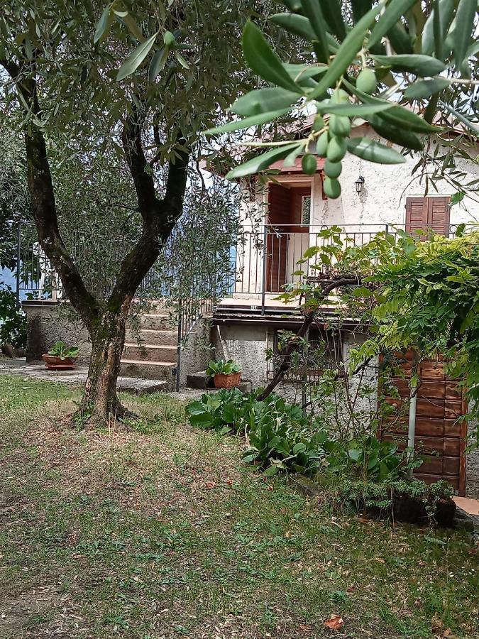 Olive Grove House Leilighet Malcesine Eksteriør bilde