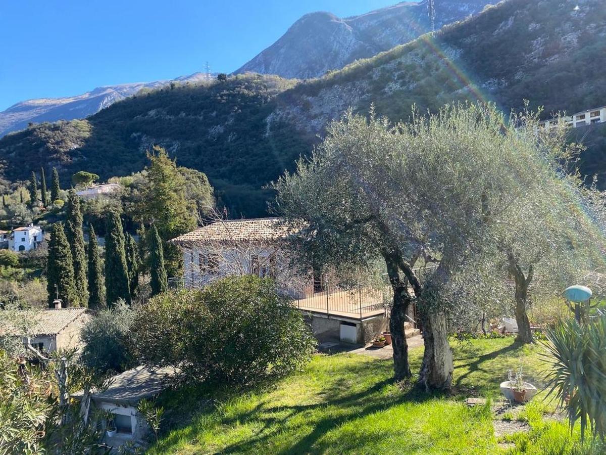 Olive Grove House Leilighet Malcesine Eksteriør bilde