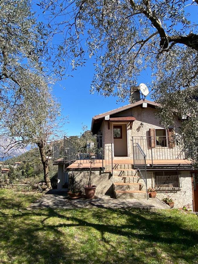 Olive Grove House Leilighet Malcesine Eksteriør bilde