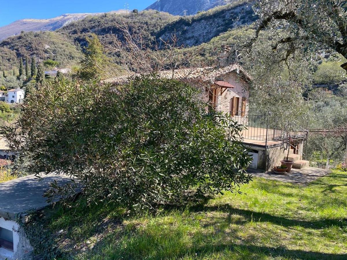 Olive Grove House Leilighet Malcesine Eksteriør bilde