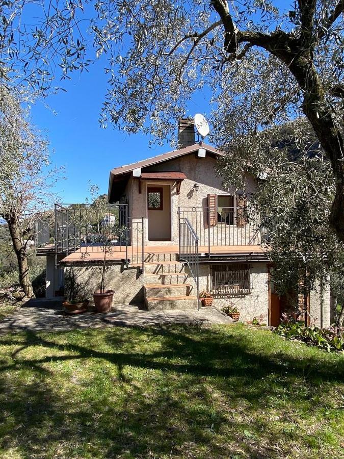 Olive Grove House Leilighet Malcesine Eksteriør bilde