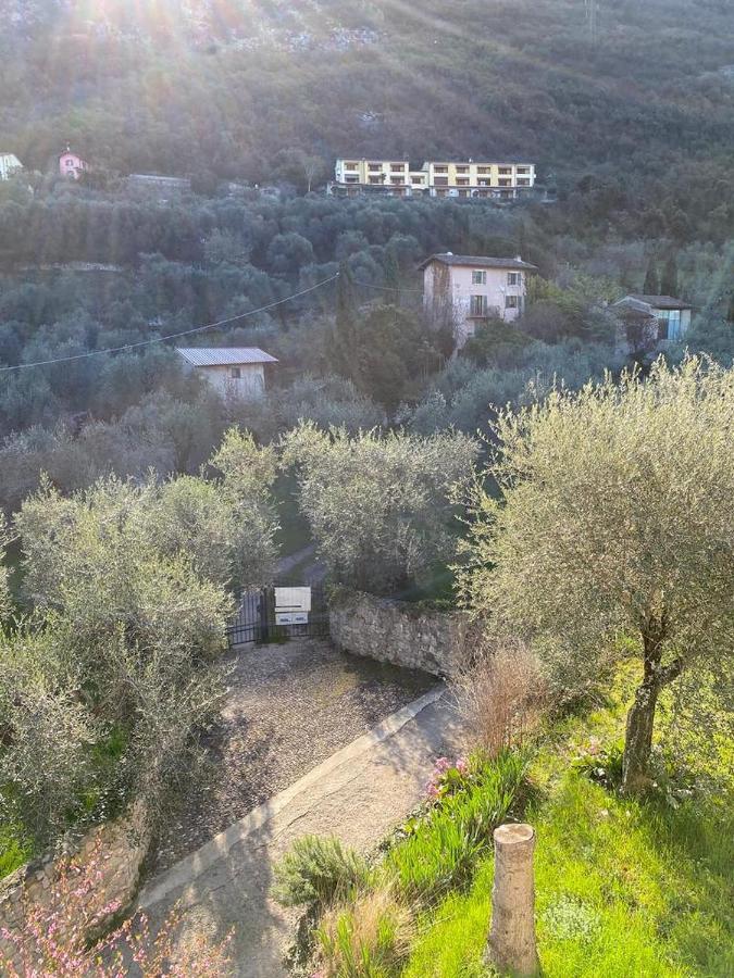 Olive Grove House Leilighet Malcesine Eksteriør bilde