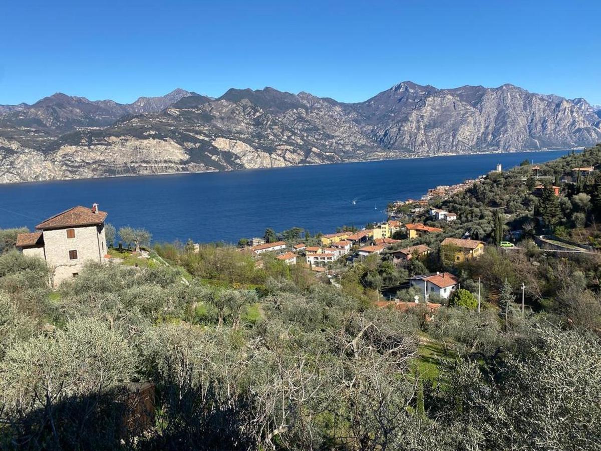Olive Grove House Leilighet Malcesine Eksteriør bilde